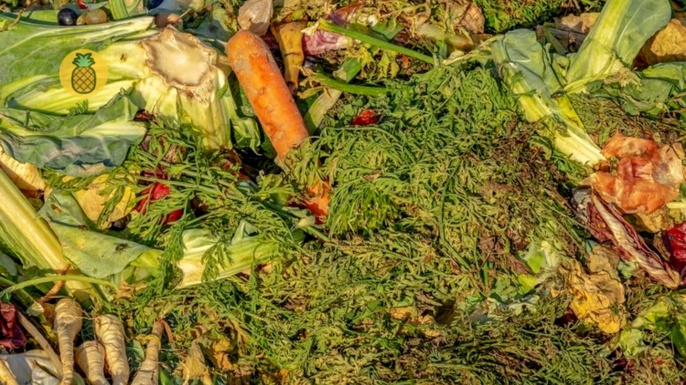 cara membuat pupuk kompos dari sampah organik