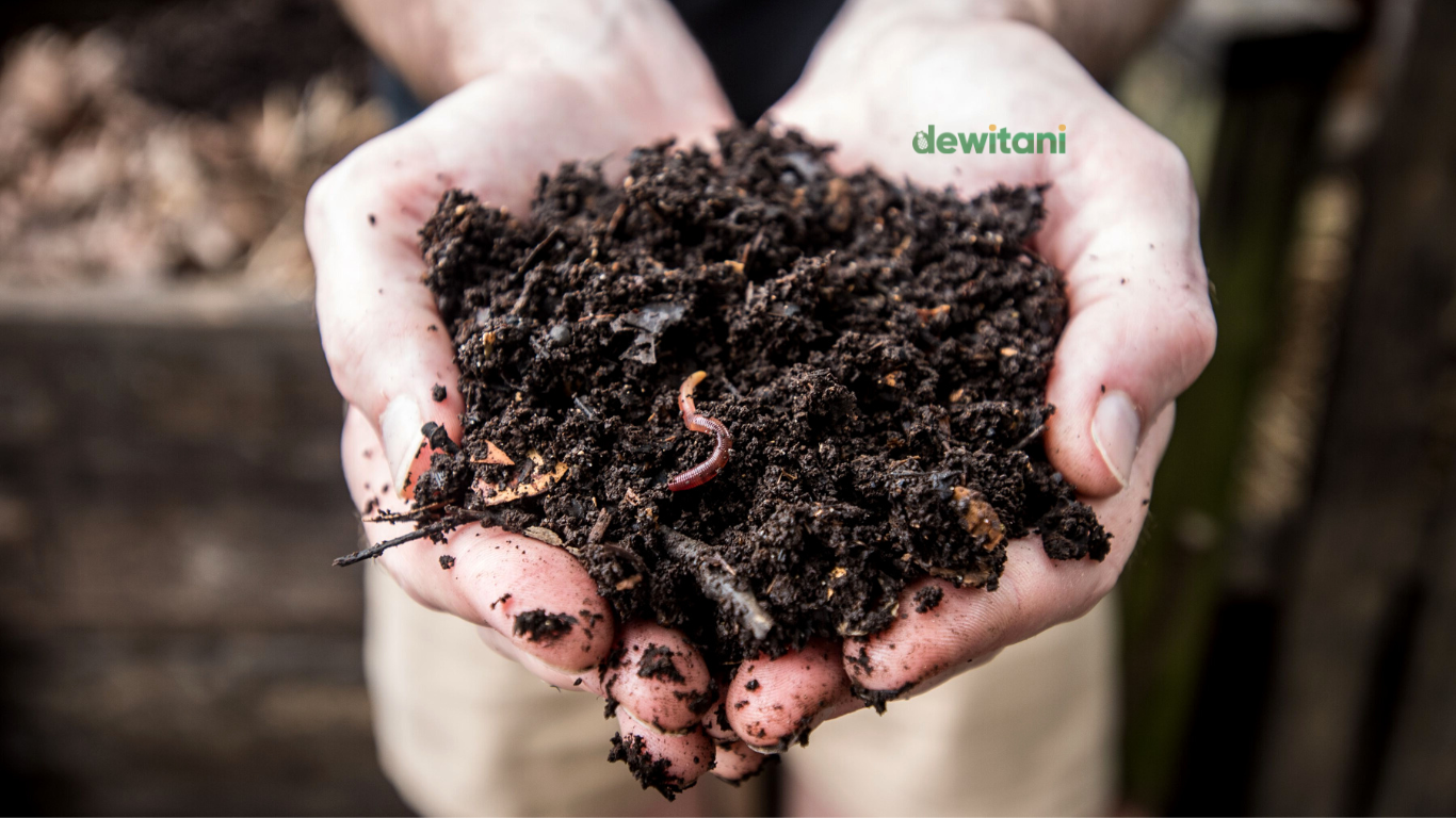 5 manfaat pupuk kompos bagi tanaman